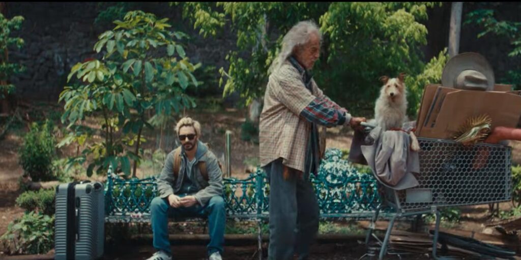 Sobriedad, me estás matando o cómo no ser tan serio con las adicciones