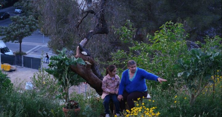 Historias del Buen Valle: migración y resistencia