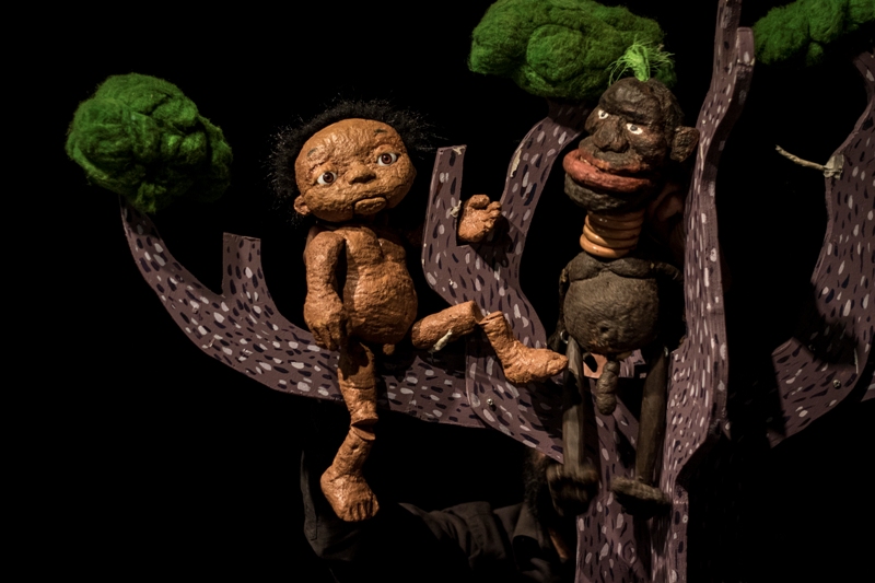 El árbol de Ko: una increíble historia de transformación